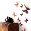 Set 18 deco vlinders semi transparant bruin